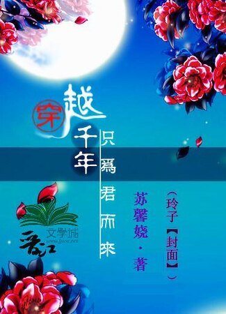 绝终四小姐:穿越千年只为君而来