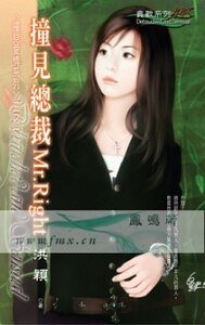 撞见总裁Mr.Right (撞见爱情之一)