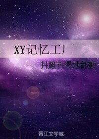 XY记忆工厂
