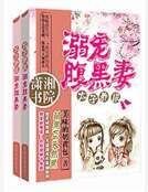 极宠咐黑太子妃