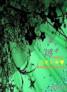娶個老鴇當老公