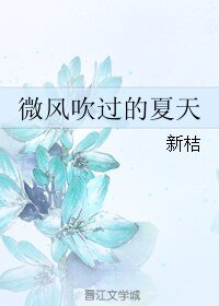 微风吹过的夏天
