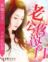 京城三少①:老公夜敲门/夏未晚良辰安好
