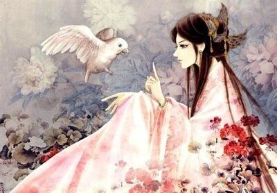 《不见瑶台》