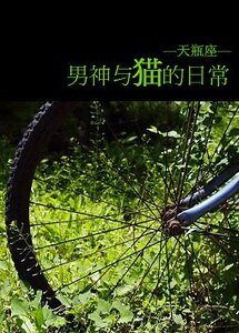 《男神与猫的日常》