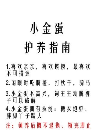 小金蛋護養指南