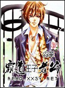 霸道王子老公