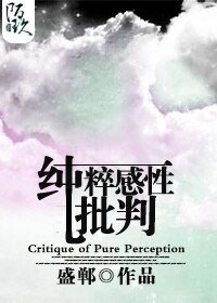 纯粹感性批判