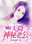 閃婚,天降神秘老公!