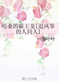 (BL/追风筝的人同人)哈桑的霸王龙