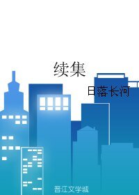 续集