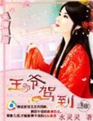 天降极品:王爷驾到
