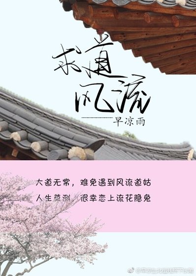 陷盗风流