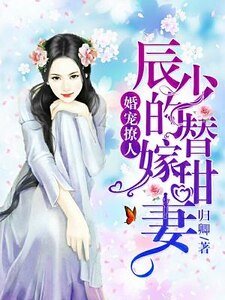 婚宠撩人:辰少的替嫁甜妻