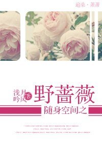 《随身空间之野蔷薇》