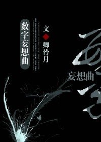 《(综小说同人)数字妄想曲》