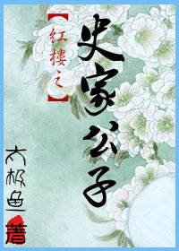 (红楼同人)红楼之史家公子