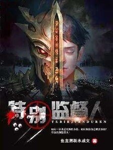 《特别监督人》