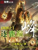 《网游之逐鹿巅峰》