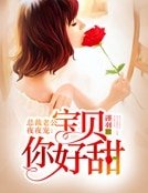 总裁老公夜夜宠:宝贝你好甜