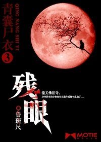 青囊尸衣3:残眼