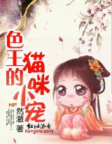 色王的猫咪小宠