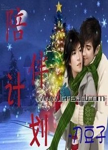 陪伴计划