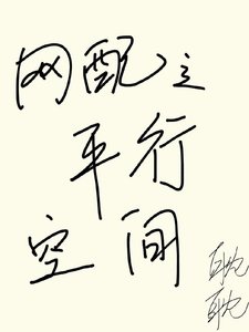 网配之平行空间