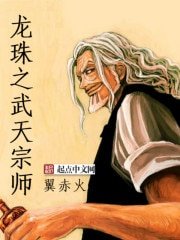 (龙珠同人)龙珠之武天宗师