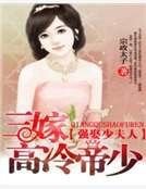 三嫁高冷帝少:强娶少夫人