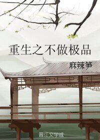 重生之不做极品