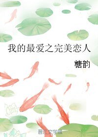 (终极三国同人)我的最隘之完美恋人