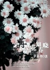 (網遊)苒苒梨花知春曉
