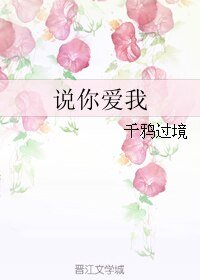 说你爱我