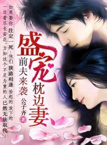 前夫来袭,盛宠枕边妻