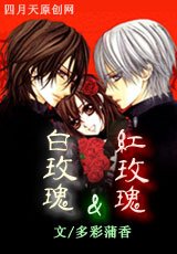 白玫瑰&红玫瑰