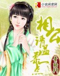 《相公,請温柔一點》