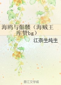 (BG/海賊王同人)海鷗與骷髏(海賊王 庫贊bg)