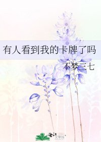 (综漫同人)有人看到我的卡牌了吗