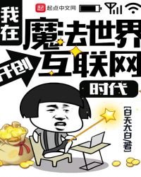 《我在魔法世界开创互联网时代》