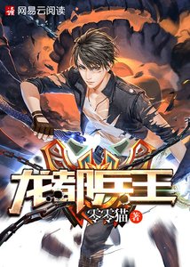 龙都兵王(全能圣手)