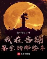 《我在当铺鉴宝的那些年》