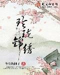 《玲珑锦绣》