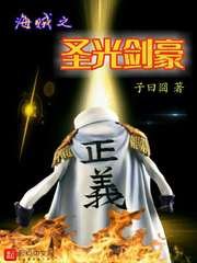 (海贼王同人)海贼之圣光剑豪