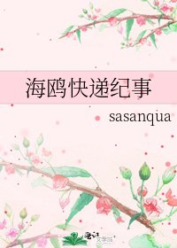 海鸥快递纪事