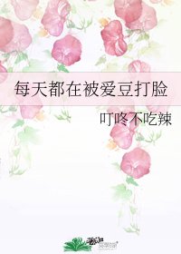 每天都在被隘豆打脸