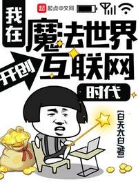 《我在魔法世界开创互联网时代》