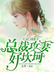 豪门戏婚:总裁攻妻好坎坷