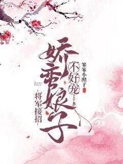 《将军接招:娇蛮娘子不好宠》