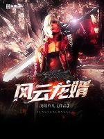 《风云龙婿》